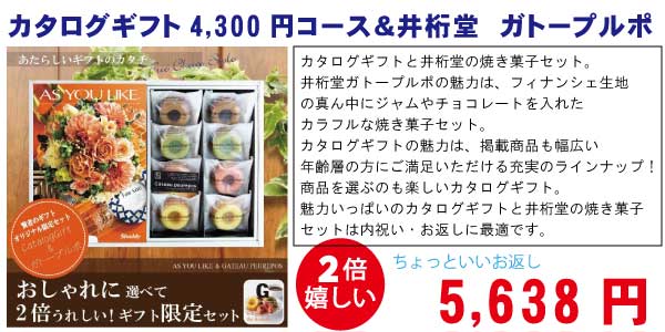 お見舞いのお返し ランキング カタログギフト