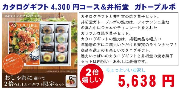 カタログ4,300円コース＋井桁堂ガトープルポセット