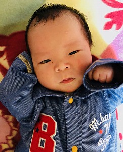 朔弥 さくや ギフト館ふじむら