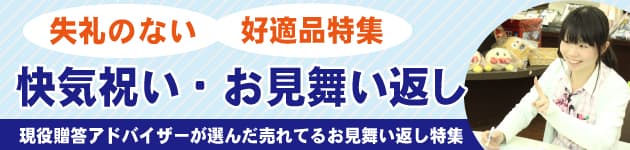 お見舞い返し 退院御礼 快気祝い 快気内祝い のマナー相場は のしは 品物 返す時期 人気ランキング ギフト館ふじむら