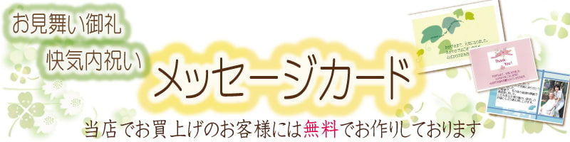 お 見舞い お返し